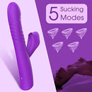 Thrusting Rabbit Vibrator Suction Vibrator For Women - Lusty Time